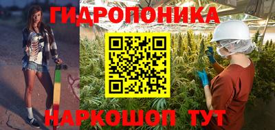 СК Пугачёв