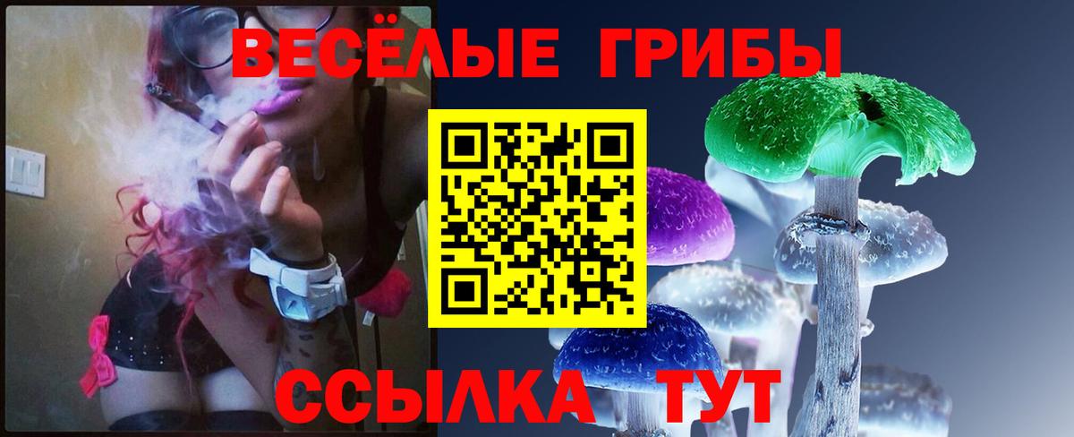 Псилоцибиновые грибы мухоморы  Вход с VPN  Тара 
